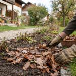 Herbstlaub als Mulch nutzen