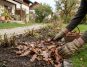 Herbstlaub als Mulch nutzen